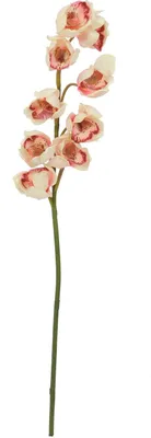 Immagine prodotto di EUROPALMS Ramo di Cymbidium, artificiale, rosa crema, 90 cm (82530311)