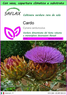 Immagine prodotto di SAFLAX Garden to go - Cardo  - 50 semi - Cynara