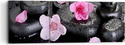 Produktbild von Bild auf Leinwand - Leinwandbild - Blumen Steine Tropfen Spa - 90x30cm - Wand Bild - Wanddeko - Leinwanddruck - Bilder - Kunstdruck - Wanddekoration - Leinwand bilder - Wandkunst - CA90x30-2714
