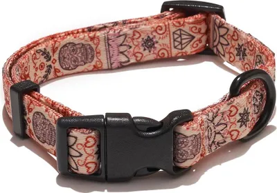 Obrázek produktu pro EXPLORER DOG Obojek Srdce S - 24-36x1,5 cm
