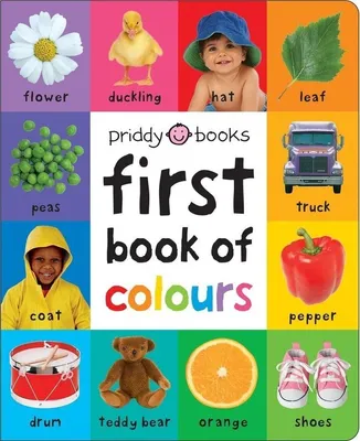 Image de First 100 Book of Colours