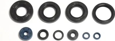 Obrázek produktu pro ATHENA Motorsimmerringsatz, Motorsimmerringsatz