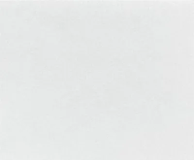 Immagine prodotto di Involucri per hamburger compostabili Fiesta, bianchi - 250x300 (200 pezzi)