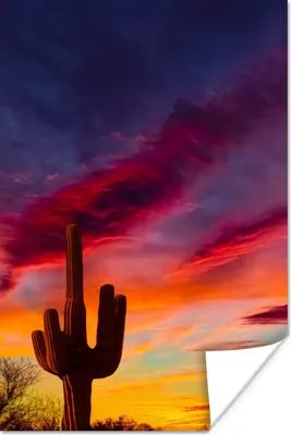 Produktbild von MuchoWow® Poster Kaktus - Himmel - Sonnenuntergang - Lila - Rosa 120x180 cm - Kunstposter