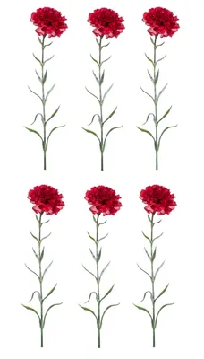 Produktbild von 6er Set künstliche Nelken Dianthus spray H. 67cm rot Emerald Kunstblumen