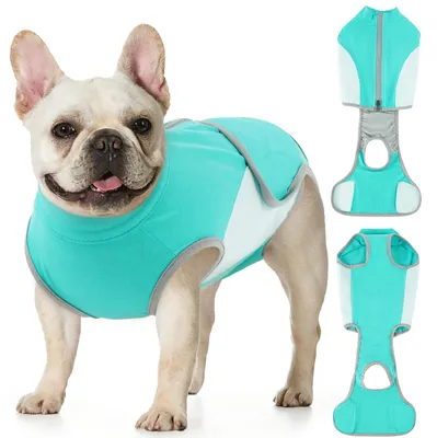 Hunde-Body nach OP, weich, atmungsaktiv, Grün, M