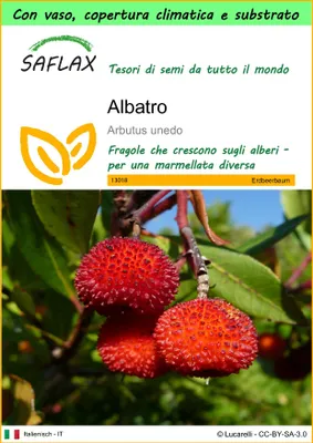 Immagine prodotto di SAFLAX Garden to go - Albatro - 50 semi - Arbutus
