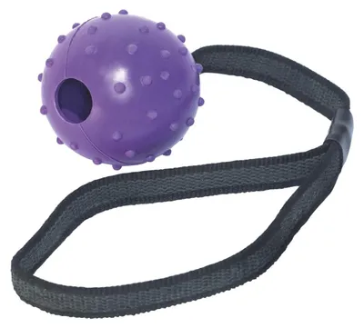 Immagine prodotto di Anello da dentizione per cani Gloria Con corda 6 cm (6 x 30 cm)