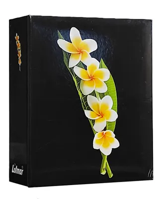 Immagine prodotto di VMC ALBUM per 304 foto 10x15 cm. nessuna descrizione FIORE NERO bianco
