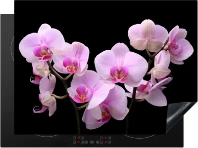 Produktbild von KitchenYeah© Herdabdeckplatte Orchidee - Blumen - Rosa - Flora , 71x52cm, Küche Deko, Glaskeramikkochfeld Herdabdeckung, Abdeckplatte fùr Kochfeld