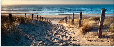Produktbild von ARTland Glasbild Weg zum Nordseestrand Sonnenuntergang Größe: 125x50 cm