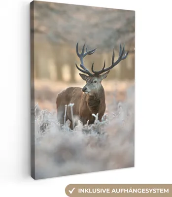 Obrázek produktu pro OneMillionCanvasses® - Obraz na plátně - Jelen - Zvířata - Zima, nástěnná malba, nástěnné dekorace obrazy obývací pokoj, 20x30cm