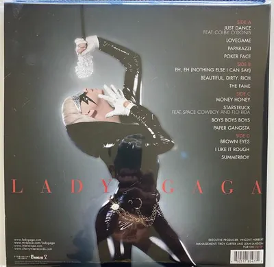 The back of a Lady Gaga vinyl record album cover, featuring the artist in a black latex outfit and listing the tracklist.