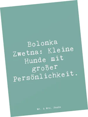 Produktbild von Mr. & Mrs. Panda Grußkarte Spruch Bolonka Zwetna Charme - Meeresbrise - Geschenk, treue Begleiter, Postkarte, Hund, Ansichtskarte, Hunderasse, Kunstkarten, kleine Hunde