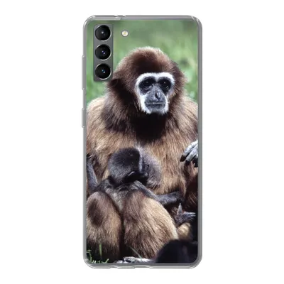 Produktbild von MuchoWow® Handyhülle Schutzhülle Hülle für Samsung Galaxy S21 Plus Affe - Pflanzen - Jung Silikon Softcase Handy Hülle - Handy-Tasche