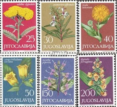 Produktbild von Briefmarken Jugoslawien 1965 Mi 1118-1123 (kompl.Ausg.) postfrisch Juoslawische Flora