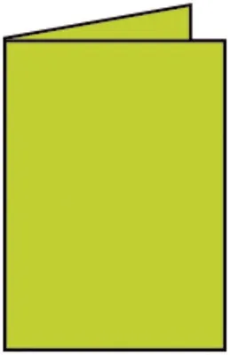 Produktbild von Rössler Papier 220719522 Coloretti Doppelkarte - B6 hoch, 5 Stück, hellgrün