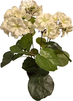 Obrázek produktu pro Umělá rostlina Pelargonium bílá 42 cm