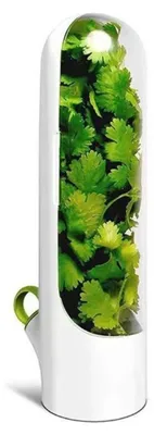 Image de INF Récipient de Conservation pour Herbes Aromatiques avec Réservoir d'Eau