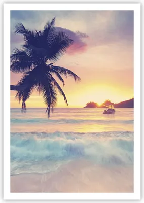 Produktbild von Poster - Poster ohne Rahmen - Meer Strand Palme - 70x100 cm - Wand Bild - Wanddeko - Wandbilder - Kunstposter - Wandposter - Bilder - Kunstdruck - Wanddekoration - Wandbild - P2XPA70x100-3992