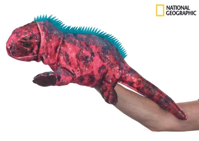 Obrázok produktu pre Hračka National Geographic Leguán 23 cm