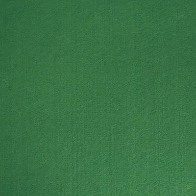 Produktbild von Kreativstoff Meterware Bastelfilz einfarbig grasgrün Stärke 45cm 4mm