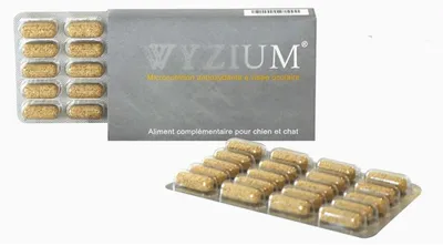 Zdjęcie produktu dla Wyzium - Moureau