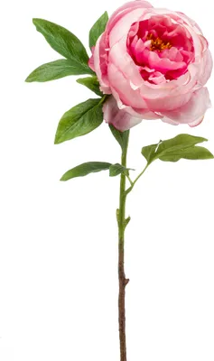 Produktbild von künstliche Pfingstrose Peony mit 1 Blüte pink H. 63cm Emerald Kunstblumen