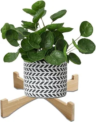 Produktbild von Mini Holz Pflanzständer - geeignet für 15 cm Topf - dekorative Blumenvitrine - für Innen- und Außenbereich