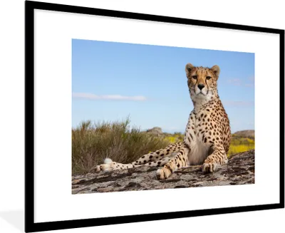 Produktbild von MuchoWow® Gerahmtes Poster Leopard - Tiere - Natur 90x60 cm - Poster mit Schwarzem Bilderrahmen Wandposter Rahmen Foto Bilder - Wanddekoration - Fotos