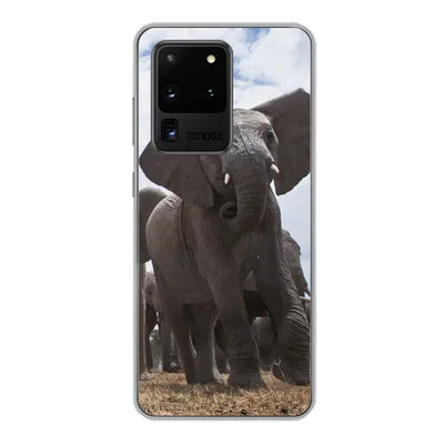 Produktbild von MuchoWow® Handyhülle Schutzhülle Hülle für Samsung Galaxy S20 Ultra Elefant - Tiere - Natur - Flachland Silikon Softcase Handy Hülle - Karteninhaber