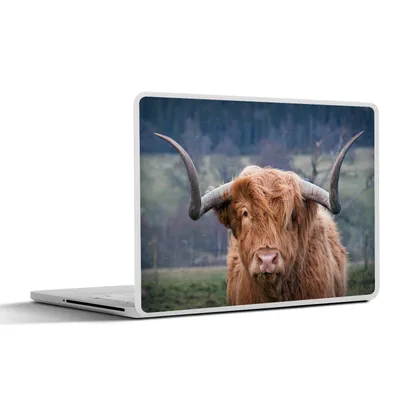 Produktbild von MuchoWow® Laptop Aufkleber Sticker Cover Schottischer Highlander - Hörner - Berg 40x30 cm - Laptop Dekoration - Selbstklebend