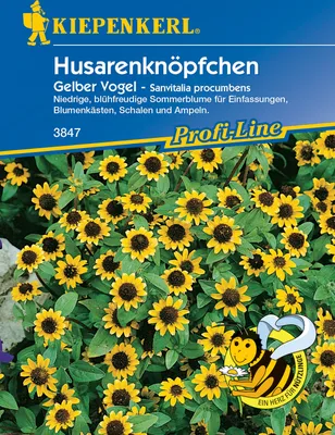 Artikelbild 1 von 'Husarenknöpfchen Gelber Vogel' aus der Kategorie Blumensamen