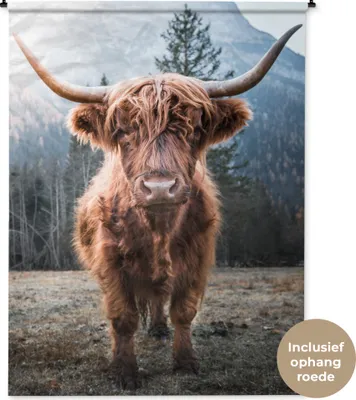 Produktbild von MuchoWow® Wandteppich Wandbehang Schottisches Hochlandrind - Tiere - Porträt 150x200 cm Tapisserie Dekoration Wandtuch - Wandaufhängung - Moderner