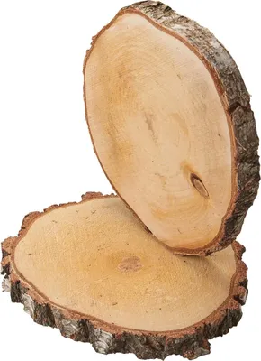 Image de Grandes rondelles d'arbre 2 pcs. Bois de décoration Disques en bois Plaques en bois 30 cm