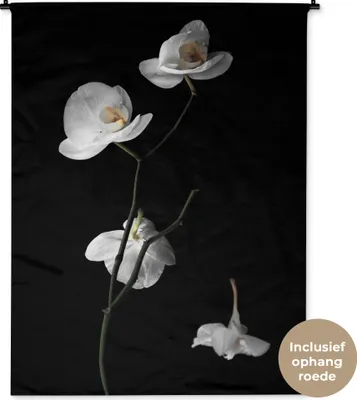 Produktbild von MuchoWow® Wandteppich Wandbehang Orchidee - Blumen - Schwarz - Weiß - Stilleben 120x160 cm Tapisserie Dekoration Wandtuch - Wohnzimmer - Moderne