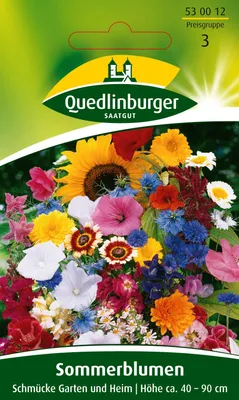 Produktbild von Sommerblumen Schmücke Garten und Heim | Blumensamen von Quedlinburger