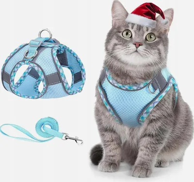 Produktbild von Atmungsaktives Katzen Geschirr mit Leine Reflektierend Blau