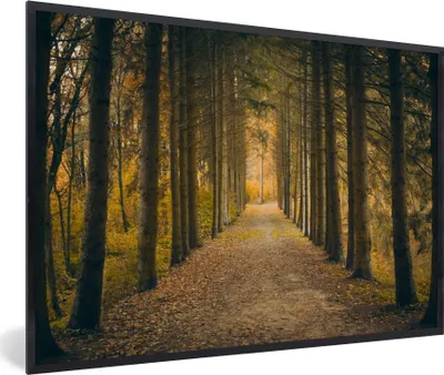 Produktbild von MuchoWow® Gerahmtes Poster Pfad - Bäume - Wald 90x60 cm - Poster mit Schwarzem Bilderrahmen Wandposter Rahmen Foto Bilder - Fotorahmen - Foto-Plakat
