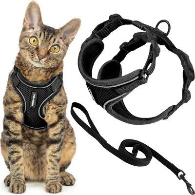 Katzenhalsband-Set mit Leine, reflektierend, verstellbar, 1,5 m