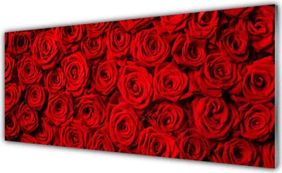 Produktbild von Glasbilder 125x50 Wandbild Druck auf Glas Roses Pflanzen