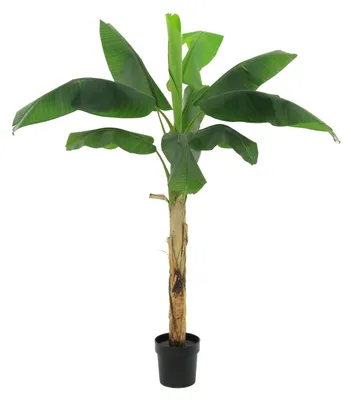 Immagine prodotto di Pianta di banana artificiale Musa da 180 cm in vaso, pianta artificiale extra large con grandi