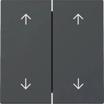 Immagine prodotto di Gira interruttore a bilanciere, 2f, frecce, sistema 55, antracite, 1 pz.