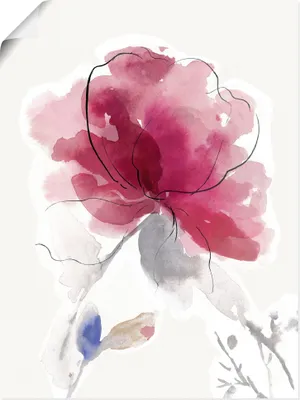 Produktbild von ARTland Poster Rosige Blüte II. Größe: 90x120 cm