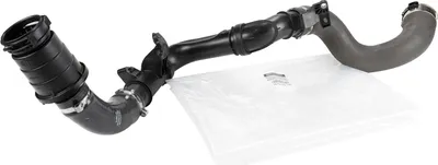 Image de Tuyau d'air de suralimentation 6000618732