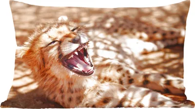 Produktbild von MuchoWow® Zierkissen Sofakissen Wohnzimmer Dekokissen 50x30 cm Gepard - Tier - Nahaufnahme - Wohnzimmerdekoration - Polster mit Photo