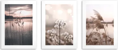 Produktbild von Poster Wandbilder Natur 3 Teilig Poster Set 50x70 cm - ökologische Tinte, Wasserfest -  Poster für wohnzimmer, schlafzimmer