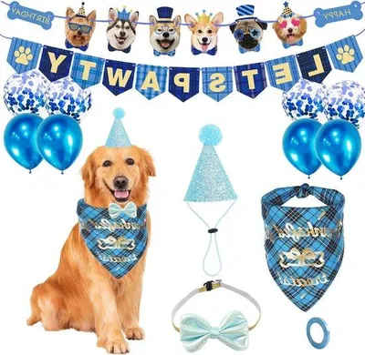 Produktbild von Hundegeburtstagsfeier Blau mit Schleife Ballons