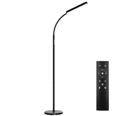 A black floor lamp and a remote control are shown against a white background.