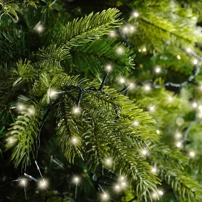 Produktbild von Kaemingk Lumineo Lichterkette Compact 350 LED warmweiß außen 7,5 m grün
